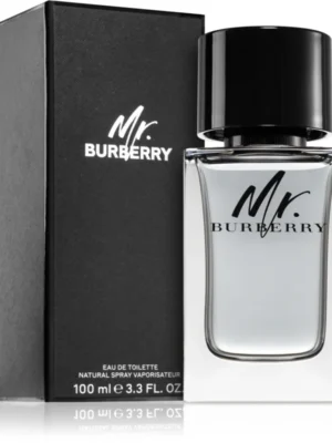 Mr. Burberry Eau de Toilette per uomo